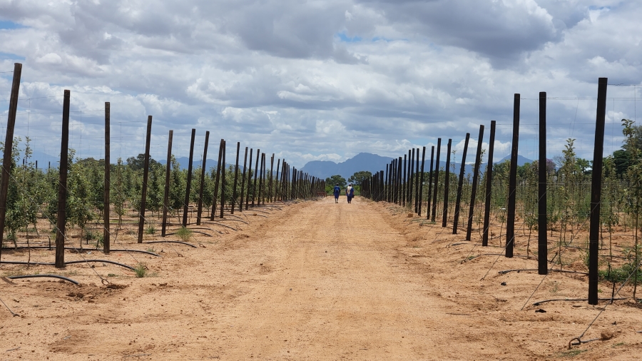 Commercial Property for Sale in Paarl Rural Western Cape